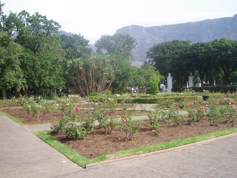 KeHa_in_South_Africa - 046